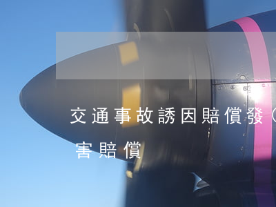 交通事故誘因賠償(發(fā)生交通事故損害賠償)