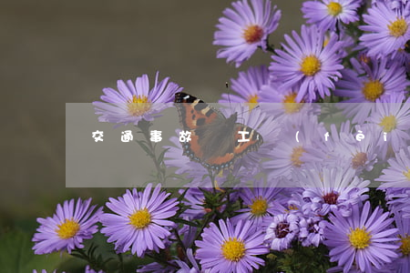 交通事故誤工費(fèi)怎么算