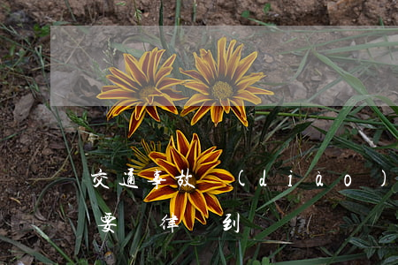交通事故調(diào)節(jié)涵需要請律師到場寫嗎