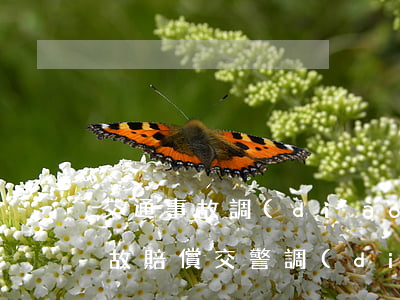 交通事故調(diào)解保險理賠(交通事故賠償交警調(diào)解還是法院調(diào)解)