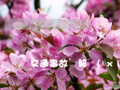 交通事故調解協(xié)議書
