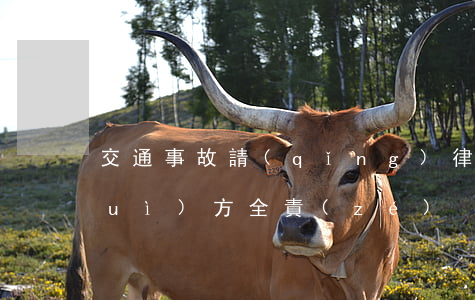 交通事故請(qǐng)律師劃算嗎對(duì)方全責(zé)