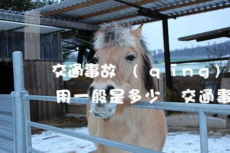 交通事故請(qǐng)律師費(fèi)用一般是多少錢(交通事故請(qǐng)律師費(fèi)用一般是多少錢)