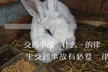 交通事故請什么樣的律師最可靠(發(fā)生交通事故有必要請律師嗎)