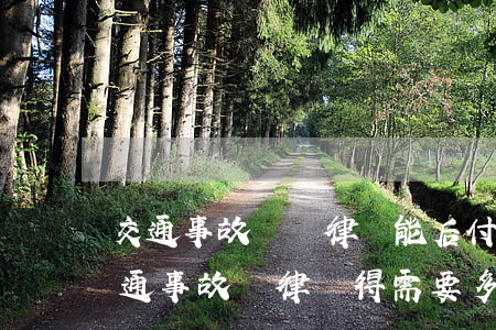 交通事故請個律師能后付費(fèi)嗎(交通事故請律師得需要多少錢)