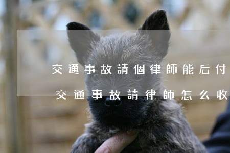 交通事故請個律師能后付費嗎(發(fā)生交通事故請律師怎么收費)