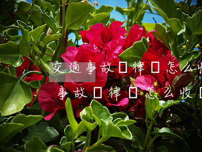 交通事故請律師怎么收費(發(fā)生交通事故請律師怎么收費)