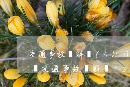交通事故諒解書(shū)一般要多少錢解決(交通事故諒解書(shū)一般要多少錢解決)