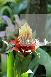 交通事故諒解書(shū)一般賠付多少錢(qián)(交通事故死亡諒解書(shū)與賠償協(xié)議是一個(gè)嗎?)