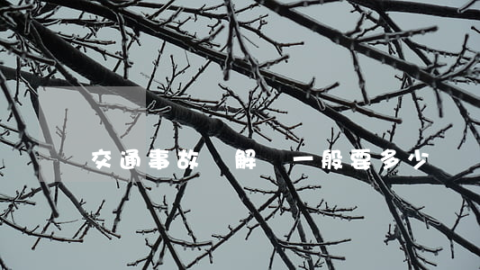 交通事故諒解書一般要多少錢