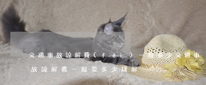 交通事故諒解費(fèi)一般多少(交通事故諒解書一般要多少錢解決)