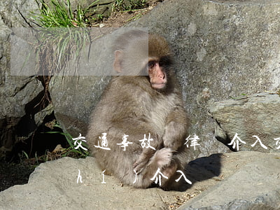交通事故讓律師介入(交通事故律師何時(shí)介入)