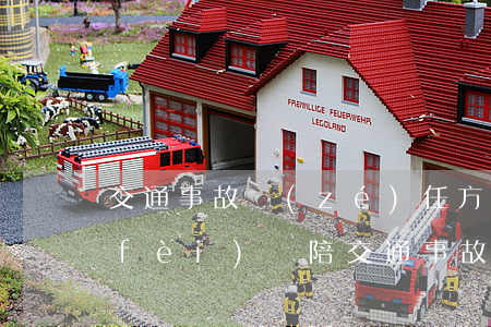 交通事故責(zé)任方醫(yī)藥費(fèi)誰陪(交通事故產(chǎn)生的醫(yī)藥費(fèi)用該由誰來付)