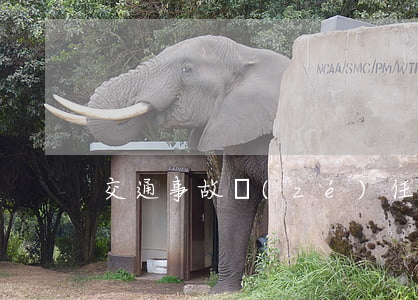 交通事故責(zé)任是如何判定的