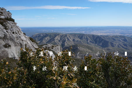 交通事故責(zé)任糾紛案件代理詞(交通事故代理意見)