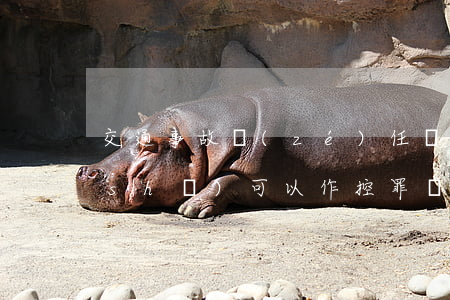 交通事故責(zé)任認(rèn)定書(shū)可以作控罪證據(jù)嗎