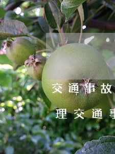 交通事故責任不公平是起訴多長時間可以受理(交通事故判決書不公平怎么辦)