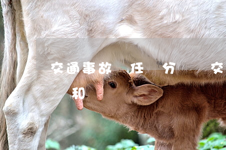 交通事故責任劃分標準(交通事故責任劃分標準和賠償)