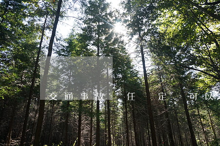 交通事故責任認定書可以作控罪證據嗎