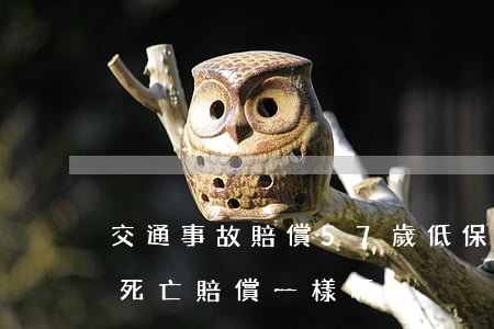 交通事故賠償57歲低保戶(低保戶交通事故死亡賠償一樣嗎)