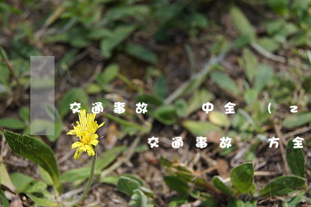 交通事故賠償中全責(zé)方需賠對方律師費嗎(交通事故對方全責(zé)可以要求賠償交通費嗎)