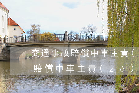 交通事故賠償中車主責(zé)任(交通事故賠償中車主責(zé)任)