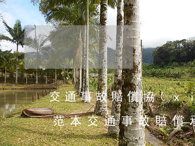 交通事故賠償協(xié)議書(shū)范本(交通事故賠償承諾書(shū)格式范文)