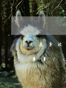 交通事故賠償協(xié)議書(交通事故賠償協(xié)議書有法律效力嗎)