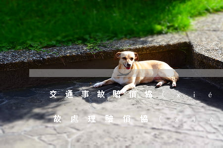交通事故賠償協(xié)議書范本(交通事故處理賠償協(xié)議書)