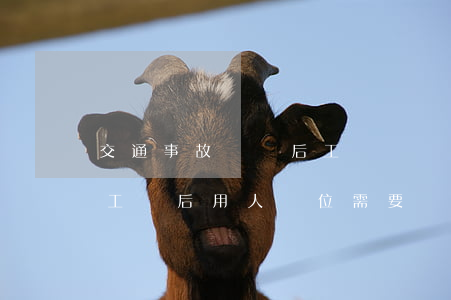 交通事故賠償后工傷賠償什么(交通事故屬于工傷后用人單位需要賠償哪些)