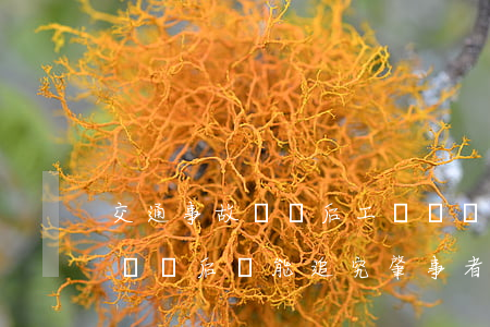 交通事故賠償后工傷還賠償嗎(交通事故工傷賠償后還能追究肇事者責任嗎)