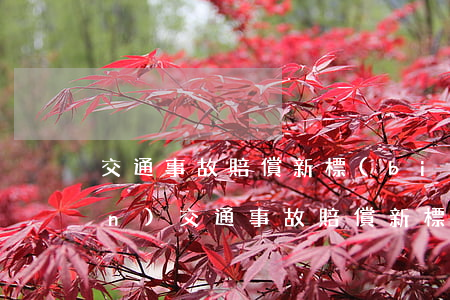 交通事故賠償新標(biāo)準(zhǔn)(交通事故賠償新標(biāo)準(zhǔn))