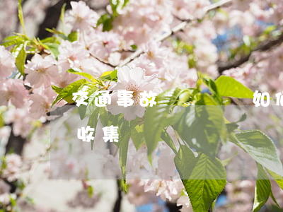 交通事故賠償糾紛如何處理（證據(jù)的收集）