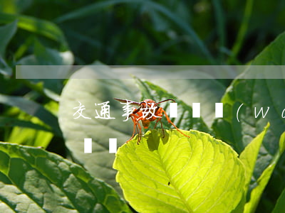 交通事故賠償網(wǎng)(交通事故損害賠償)