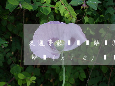 交通事故賠償諒解書怎么寫(交通事故賠償諒解協(xié)議書)