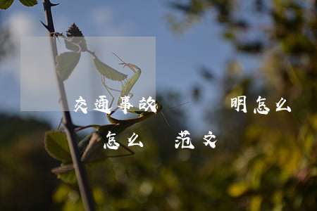 交通事故賠償證明怎么寫(交通事故賠償申請書怎么寫范文)