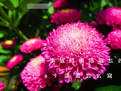 交通事故賠償證明怎么寫(出車禍賠償協(xié)議書怎么寫)