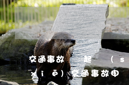 交通事故賠償起訴書(shū)怎么樣寫(xiě)(交通事故申請(qǐng)賠償書(shū)怎么寫(xiě))