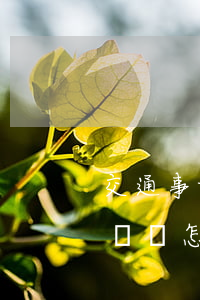 交通事故賠償起訴書怎么寫(交通事故賠償起訴書怎么樣寫)