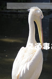 交通事故賠償“錢多形輕刑重錢少是什么意思