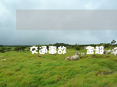 交通事故賠錢金超過30會坐牢嗎