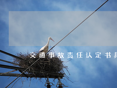 交通事故责任认定书具体内容