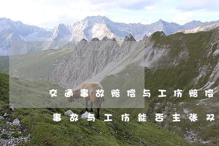 交通事故赔偿与工伤赔偿有什么区别？交通事故与工伤能否主张双赔？