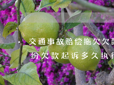 交通事故赔偿拖欠欠款多久会被起诉(合同纠纷欠款起诉多久执行)
