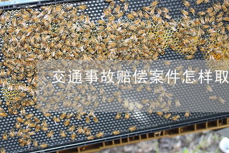交通事故赔偿案件怎样取证