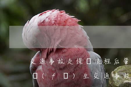 交通事故走保險流程后肇事者還要怎么賠償(發(fā)生交通事故保險公司理賠流程)