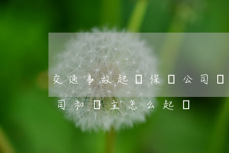 交通事故起訴保險公司還是車主(起訴保險公司和車主怎么起訴)