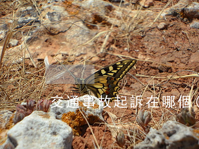 交通事故起訴在哪個(gè)地方起訴