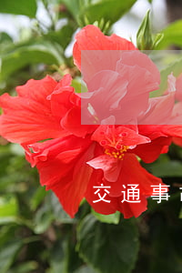 交通事故起訴狀