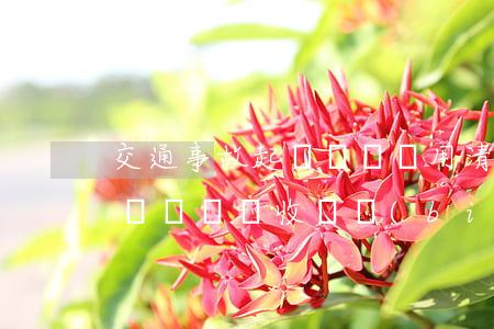 交通事故起訴賠償費用清單(交通事故損害賠償訴訟費收費標(biāo)準(zhǔn))